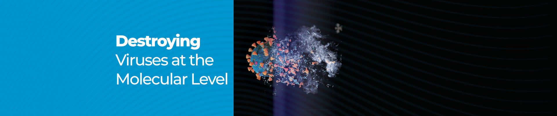 Destroying viruses at the molecular level.