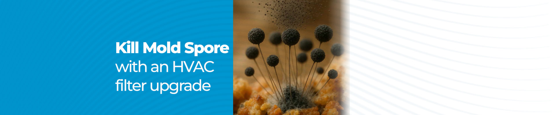 Plasma air filter & purifier. Kills mold spores with an easy air filter upgrade.